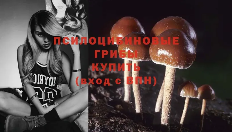 Галлюциногенные грибы Psilocybe  Нижняя Салда 